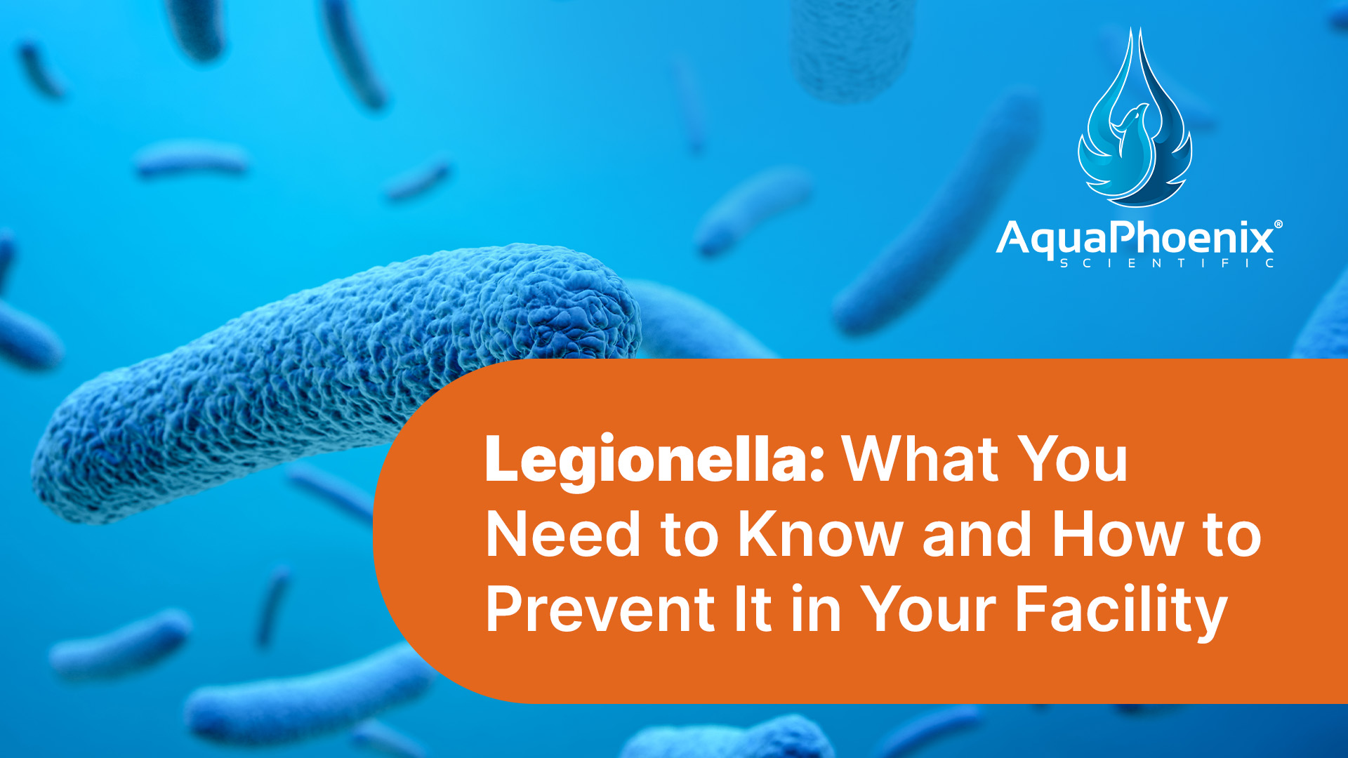 Legionella: What you need to know and how to prevent it