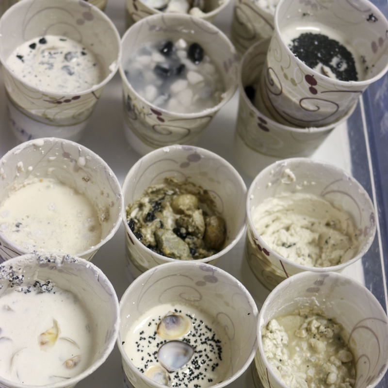 stem experiments completed by kids during a field trip to AquaPhoenix